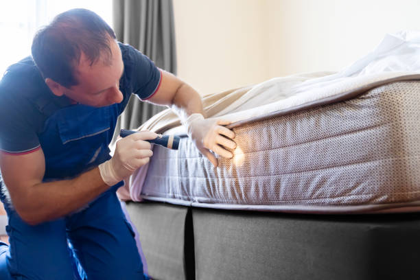 Best Fumigation Services  in East Farmingdale, NY